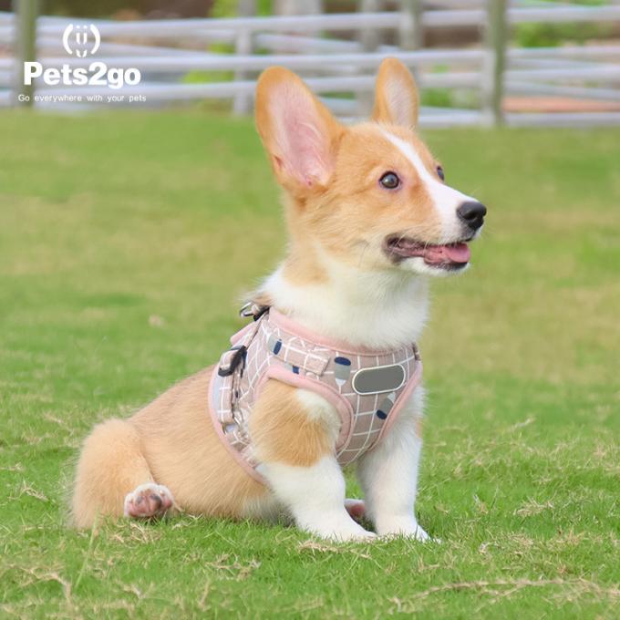 Waterproof Nylon Retractable Dog Lead For Jogging 3