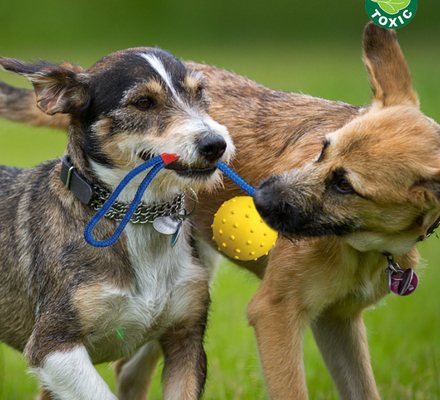Natural Solid Rubber Rope Ball Dog Toy For Reward Teeth Cleaning