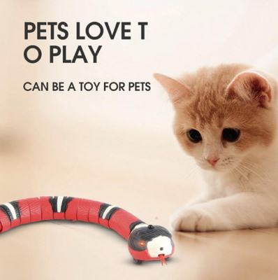Rubber Interactive Red Cat Pet Teething Chew Funny Toys For Puppies
