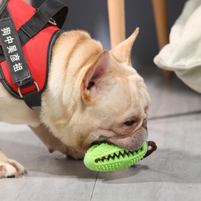 Bite Resistant Dog Slow Feeder Ball Molar Stick With Thorn TPR Food Leakage Device