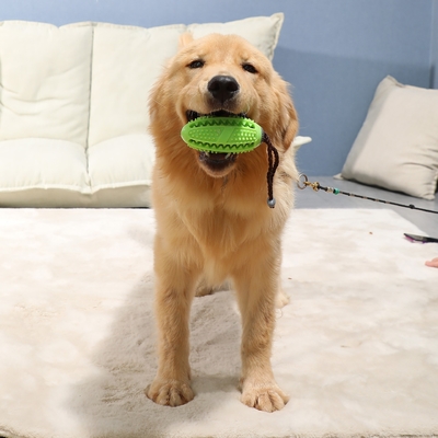 Bite Resistant Dog Slow Feeder Ball Molar Stick With Thorn TPR Food Leakage Device