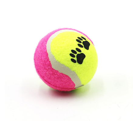 Interactive Safe Rubber Pet Tennis Balls For Traning Exercise Playing