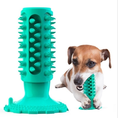 Molar Stick Suction Cup Squeaking Sound Dog Toys Golden Hair Pet Products