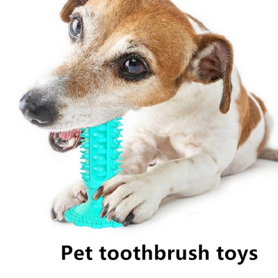 Molar Stick Suction Cup Squeaking Sound Dog Toys Golden Hair Pet Products