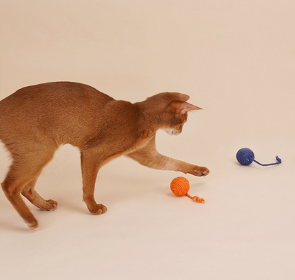 Interactive Catching Rope Ball Toys For Cats With Bell For Indoor
