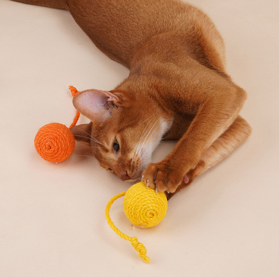 Interactive Catching Rope Ball Toys For Cats With Bell For Indoor