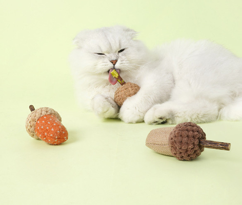 Scratcher Training Catnip Chew Toys For Cats Teeth For Pets Kittens Kitty Supplies