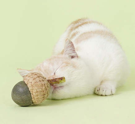 Scratcher Training Catnip Chew Toys For Cats Teeth For Pets Kittens Kitty Supplies