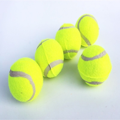 Pet Toys Tennis Micro Elastic Secondary Ball Dog Throwing Interactive Dog Training Ball Hard Rubber Dog Ball