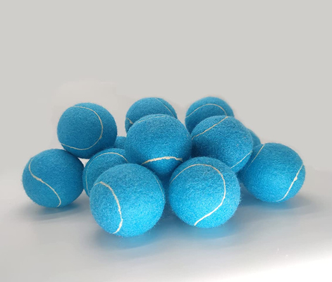 Advanced Training Practice Playing blue tennis balls for Dogs for Beginner Training Ball