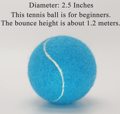 Advanced Training Practice Playing blue tennis balls for Dogs for Beginner Training Ball