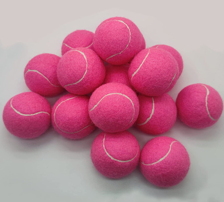 Advanced Training Practice Playing blue tennis balls for Dogs for Beginner Training Ball