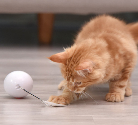Interactive USB Charging Electronic Cat Ball Interactive Cat Toys Balls