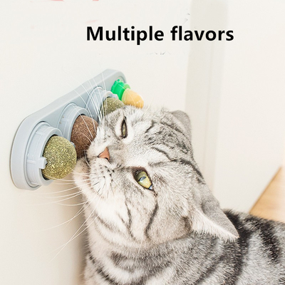 Cat Snack Lollipop Catnip Wall Ball Toys Licking Rotating