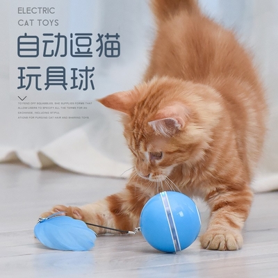 ABS Material Best Automated Cat Toys Electric Eco Friendly