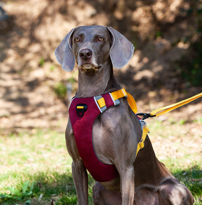 Adjustable Reflective  Oxford Large Dog Harness Leash Set With Easy Control