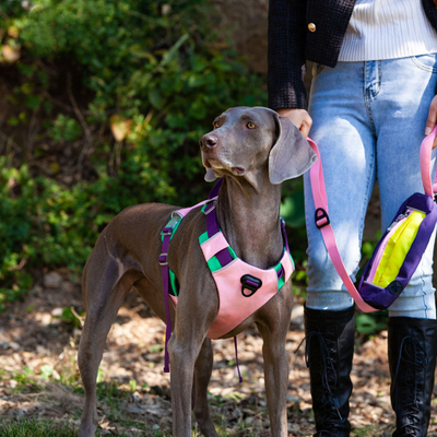 Adjustable Reflective  Oxford Large Dog Harness Leash Set With Easy Control