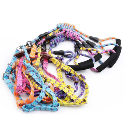Adjustable Small Dog Harness and Lead Training Walking for Dogs