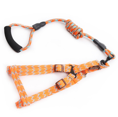 Adjustable Small Dog Harness and Lead Training Walking for Dogs