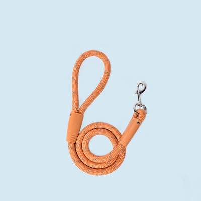 Nylon Easy Walk Dog Leash PSM Dog Traction Rope For Small Teddy