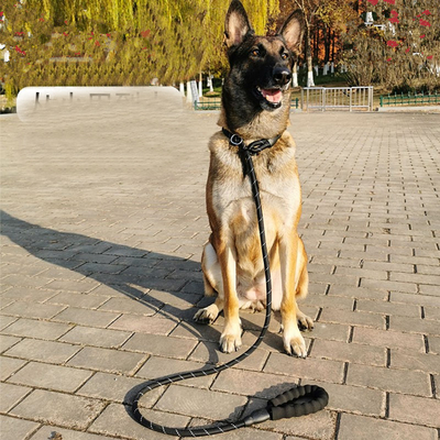 Explosion Proof Thickened Extended Telescopic P-Rope For Golden Retriever Dog Traction