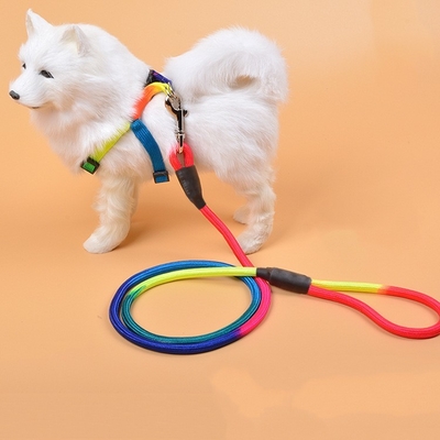 Nylon Pet Traction Rope Anti Loss For Small Dog Teddy Cat Travel