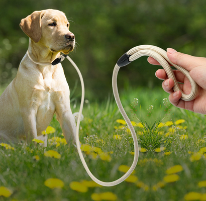 Mountain Climbing Nylon Rope Dog Lead For Training Medium Large Dogs