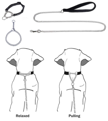 Metal Best Leash For Dogs That Chew With Padded Handle For Large & Medium Size Dogs
