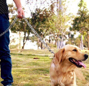 Metal Best Leash For Dogs That Chew With Padded Handle For Large & Medium Size Dogs