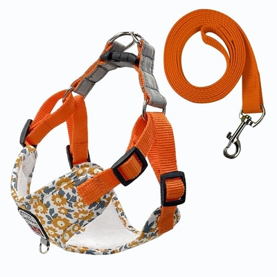 Reflective Breathable Dog Traction Rope Walking Dog Printed Dog Rope Large And Medium-Sized Wholesale Pet Chest Strap