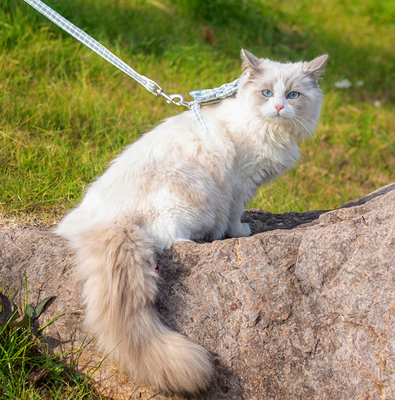 The Best Soft Breathable H-Type Walking Kitten Cat Lead For Garden