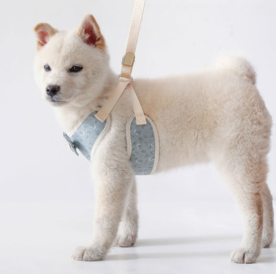 Soft No Pull Adjustable Breathable Mesh Leash And Cat Chest Harness For Puppy