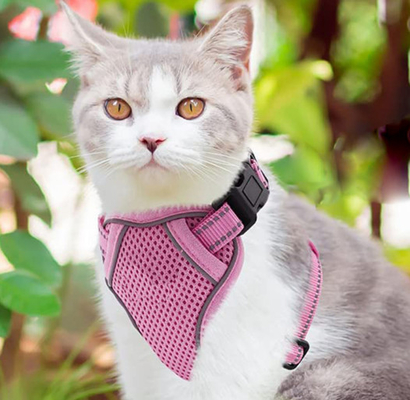 Adjustable Breathable Outdoor Cat Harness With Reflective Strip For Small Medium Large Cats