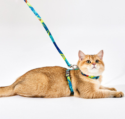 Adjustable Pet Harness Leash For Large Small Cats Walking Travel Outdoor