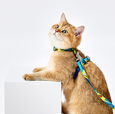 Adjustable Pet Harness Leash For Large Small Cats Walking Travel Outdoor