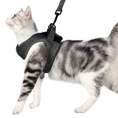 Out Traction Cat Walking Rope elastic Pet Chest Strap Magic Tool With Adjustable Buckle