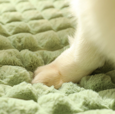 Washable Removable Cover Dog Pillow Bed With Anti Slip Bottom