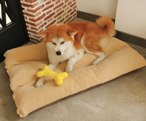 Soft Anti Slip Indoor Outdoor Pet Pillow Bed With Removable Washable Cover