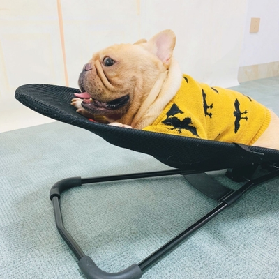 Pet Portable Dog Kennel Folding Washable Dog Rocking Chair For Pitbulls Comforting