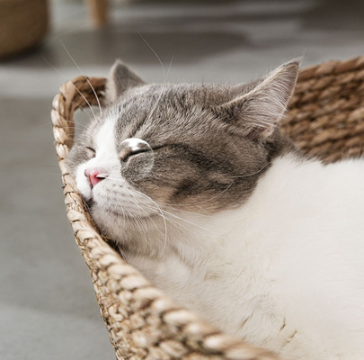 Natural Handmade Braided Cattail Bamboo Cat Bed With Soft Cushion