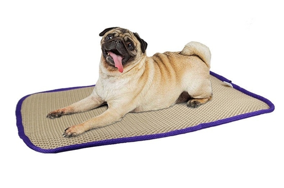 Pet Bedsore Prevention Mattress Indestructible Dog Mat Thickened Breathable Easy To Wash Dog Bed Constant Bed