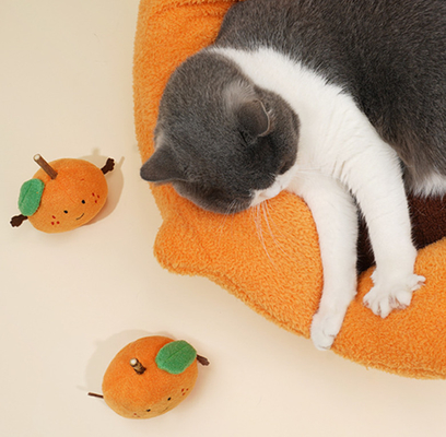 Anti Slip Bottom Washable Cat Beds For Four Season Reversible