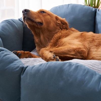 Dog Kennel Warm In Winter Best Dog Bed For Husky Removable And Washable Golden Hair Dog Bed For All Seasons