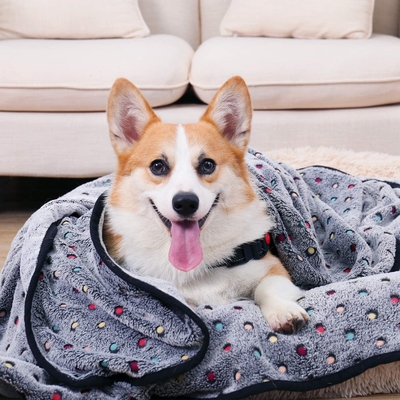 Pet Blanket Coral Flannel Dog Cat Quilt Dog Nest Mat Best Puppy Blankets
