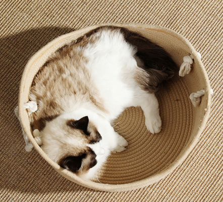 Anti Anxiety Indoor Rattan Cat Bed Round Soft Litter Mat Cushion For Pets Sharpen Claws