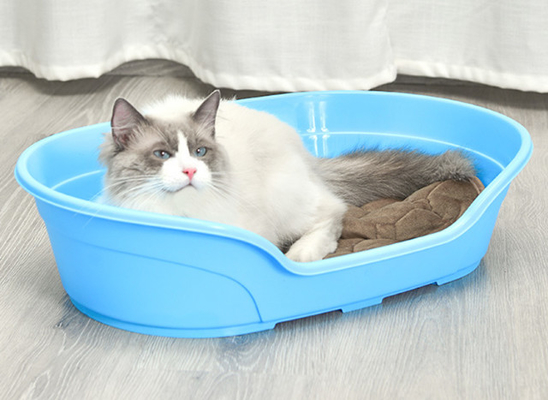 Xl Plastic Dog Bed Kennel For Pet Sleep and Wash Dual Use