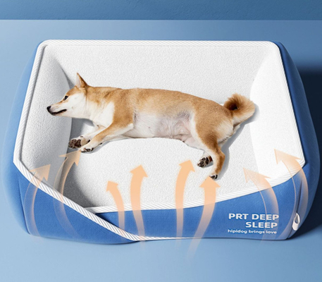 Expensive Cat Beds Calming Orthopedic Pet Bed With Multiple Size