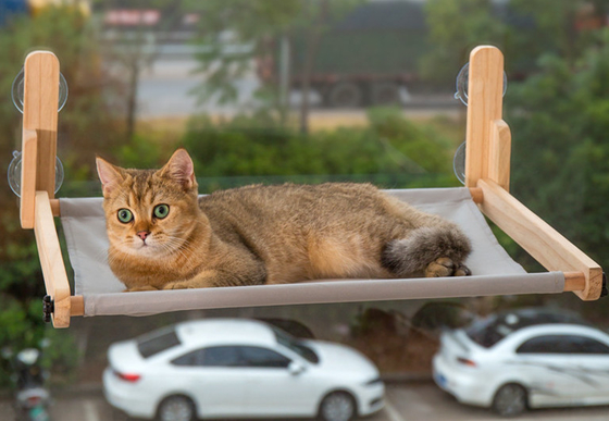Cat Window Amazon Cat Hammock-Seat Furniture-Bad