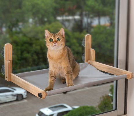 Cat Window Amazon Cat Hammock-Seat Furniture-Bad