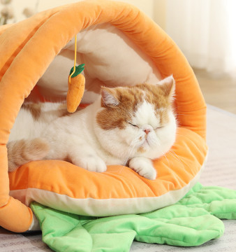 Calming Cozy Soft Cat Cave, Cute Friendly Dolphin Kitten On The Bed For Indoor Cats